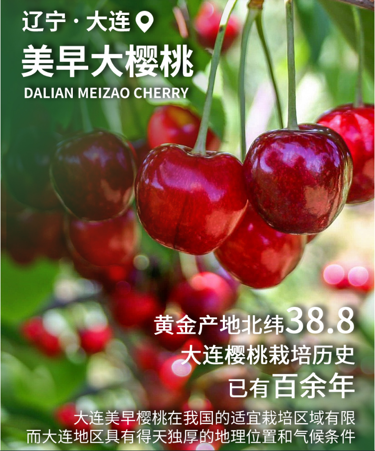 1682038298848983.png image.png